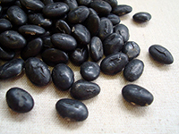 雁喰豆、黒平豆（東北）